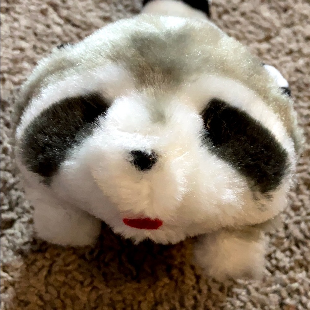 Electric Raccoon